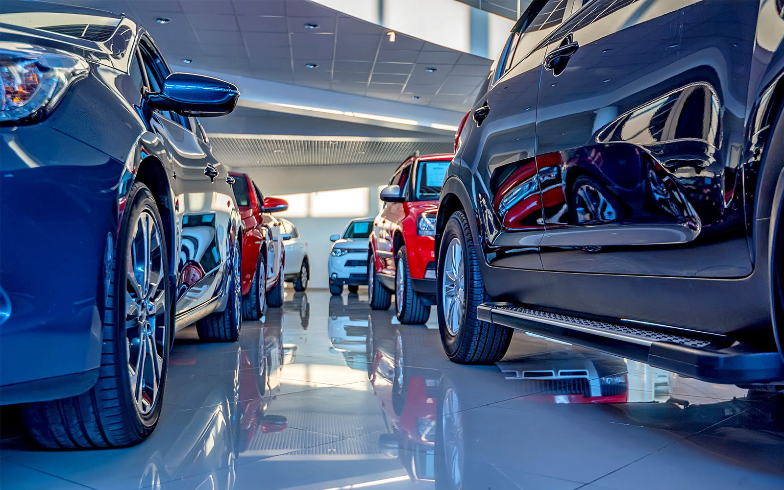 Ground view of cars in a dealership