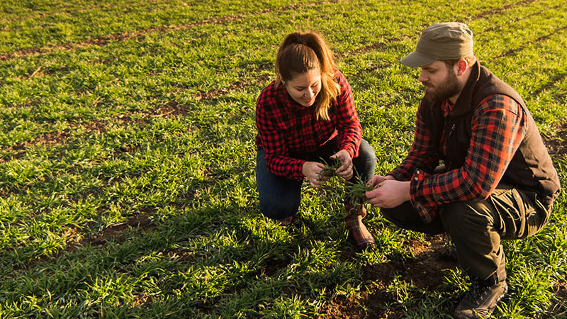 Two farmers on a grassy field