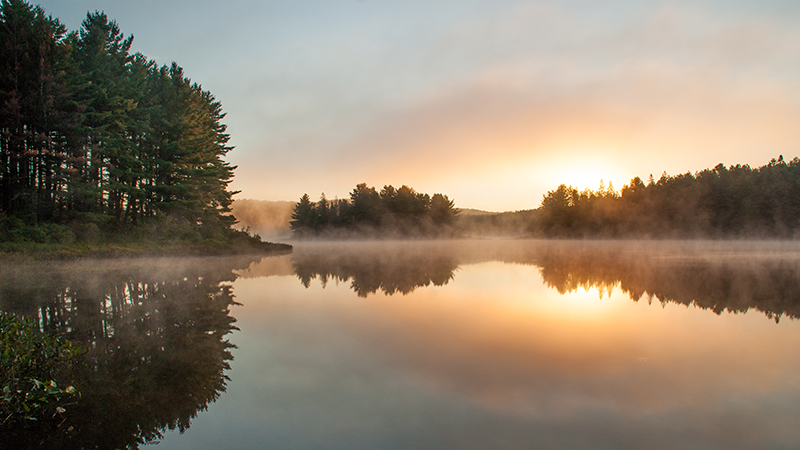 Sunset over a lake surrounded by green trees